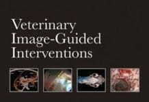 veterinary image-guided interventions pdf