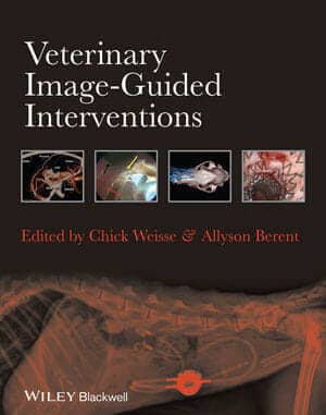 Veterinary Image Guided Interventions