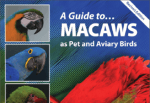 A Guide to Macaws As Pet and Aviary Birds pdf