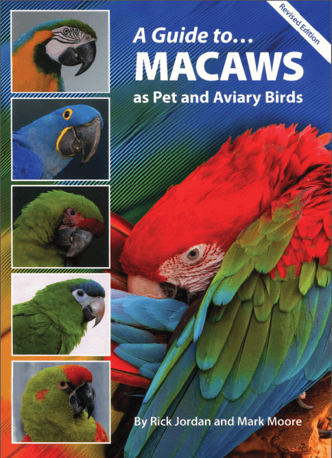 A Guide to Macaws As Pet and Aviary Birds