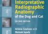 An Atlas of Interpretative Radiographic Anatomy of the Dog and Cat 2nd Edition PDF.