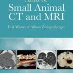 Atlas of Small Animal CT and MRI PDF