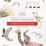 Avian Anatomy: Textbook and Colour Atlas 2nd Edition pdf