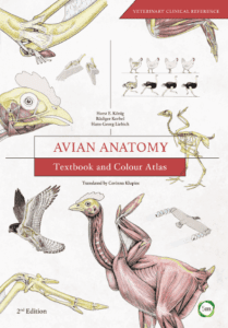 Avian Anatomy: Textbook and Colour Atlas 2nd Edition pdf