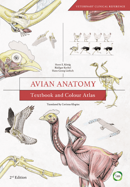 Avian Anatomy: Textbook and Colour Atlas 2nd Edition