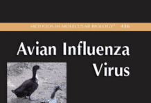 Avian Influenza virus pdf