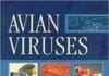 Avian Viruses Function and Control PDF