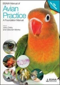 Bsava Manual Of Avian Practice: A Foundation Manual Pdf