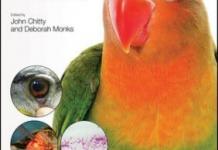 BSAVA Manual of Avian Practice: A Foundation Manual PDF