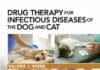 Drug Therapy for Infectious Diseases of the Dog and Cat PDF