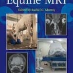 Equine MRI PDF Book