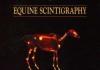 Equine Scintigraphy PDF