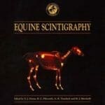 Equine Scintigraphy PDF