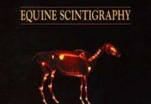 Equine Scintigraphy PDF