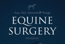 Equine Surgery 5th Edition PDF