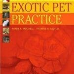 Manual of Exotic Pet Practice PDF