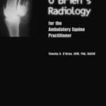 O'Brien's Radiology for the Ambulatory Equine Practitioner PDF