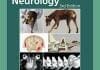 Practical Guide to Canine and Feline Neurology 3rd Edition PDF