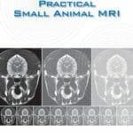 Practical Small Animal MRI PDF