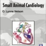 Small Animal Cardiology: The Practical Veterinarian PDF