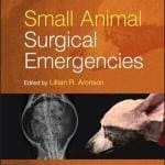 Small Animal Surgical Emergencies 2nd Edition