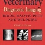 veterinary-diagnostic-imaging-birds-exotic-pets-and-wildlife