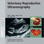 Veterinary Reproductive Ultrasonography: Horse, Cattle, Sheep, Goat, Pig, Dog, Cat pdf