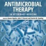 Antimicrobial Therapy in Veterinary Medicine, 5th Edition pdf