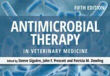 Antimicrobial Therapy in Veterinary Medicine, 5th Edition pdf