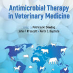 Antimicrobial Therapy in Veterinary Medicine 6th Edition PDF