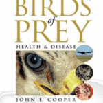 Birds of Prey: Health and Disease 3rd Edition pdf