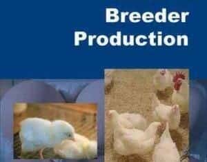 Broiler Breeder Production Pdf