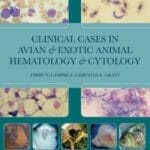 Clinical Cases in Avian and Exotic Animal Hematology and Cytology pdf