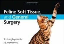Feline Soft Tissue and General Surgery PDF Book