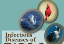 Infectious Diseases of Wild Birds pdf