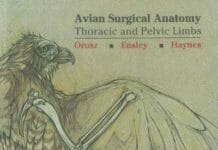 Avian Surgical Anatomy: Thoracic and Pelvic Limbs PDF
