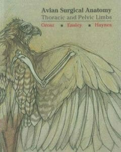 Avian Surgical Anatomy: Thoracic and Pelvic Limbs PDF