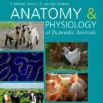 Anatomy and Physiology of Domestic Animals, 2nd Edition pdf