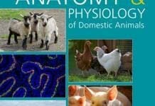 Anatomy and Physiology of Domestic Animals, 2nd Edition pdf