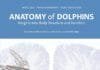 Anatomy of Dolphins Insights Into Body Structure and Function pdf