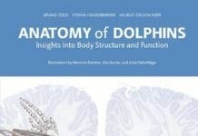 Anatomy of Dolphins Insights Into Body Structure and Function pdf