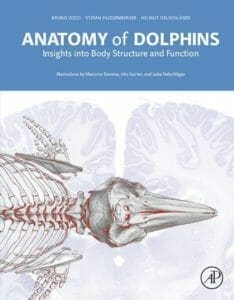 Anatomy of Dolphins Insights Into Body Structure and Function pdf