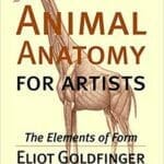 Animal Anatomy for Artists The Elements of Form PDF