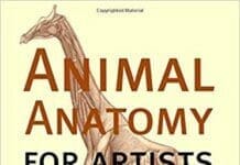 Animal Anatomy for Artists The Elements of Form PDF