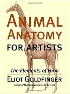 Animal Anatomy for Artists The Elements of Form PDF