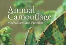 Animal Camouflage Mechanisms and Function pdf