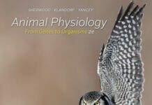 Animal Physiology: From Genes to Organisms 2nd Edition By auralee Sherwood, Hillar Klandorf and Paul Yancey