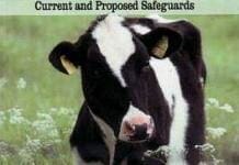 Bovine Spongiform Encephalopathy (BSE, or Mad Cow Disease) : Current & Proposed Safeguards PDF