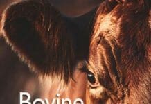 Bovine Tuberculosis PDF