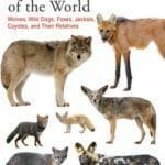 Canids of the World: Wolves, Wild Dogs, Foxes, Jackals, Coyotes, and Their Relatives PDF